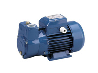 Toon details van Pomp Pedrollo CKRm 90, 230 Volt Afbeeldingen van Pomp Pedrollo CKRm 90, 230 Volt