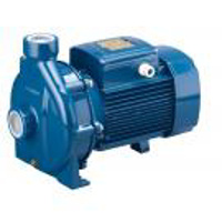 Toon producten in de categorie Pedrollo CP centrifugaalpompen Afbeelding voor categorie Pedrollo CP centrifugaalpompen