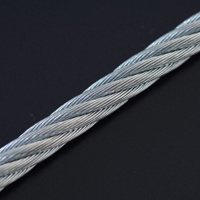 Toon details van Veiligheidskabel RVS, 5 mm Afbeeldingen van Veiligheidskabel RVS, 5 mm